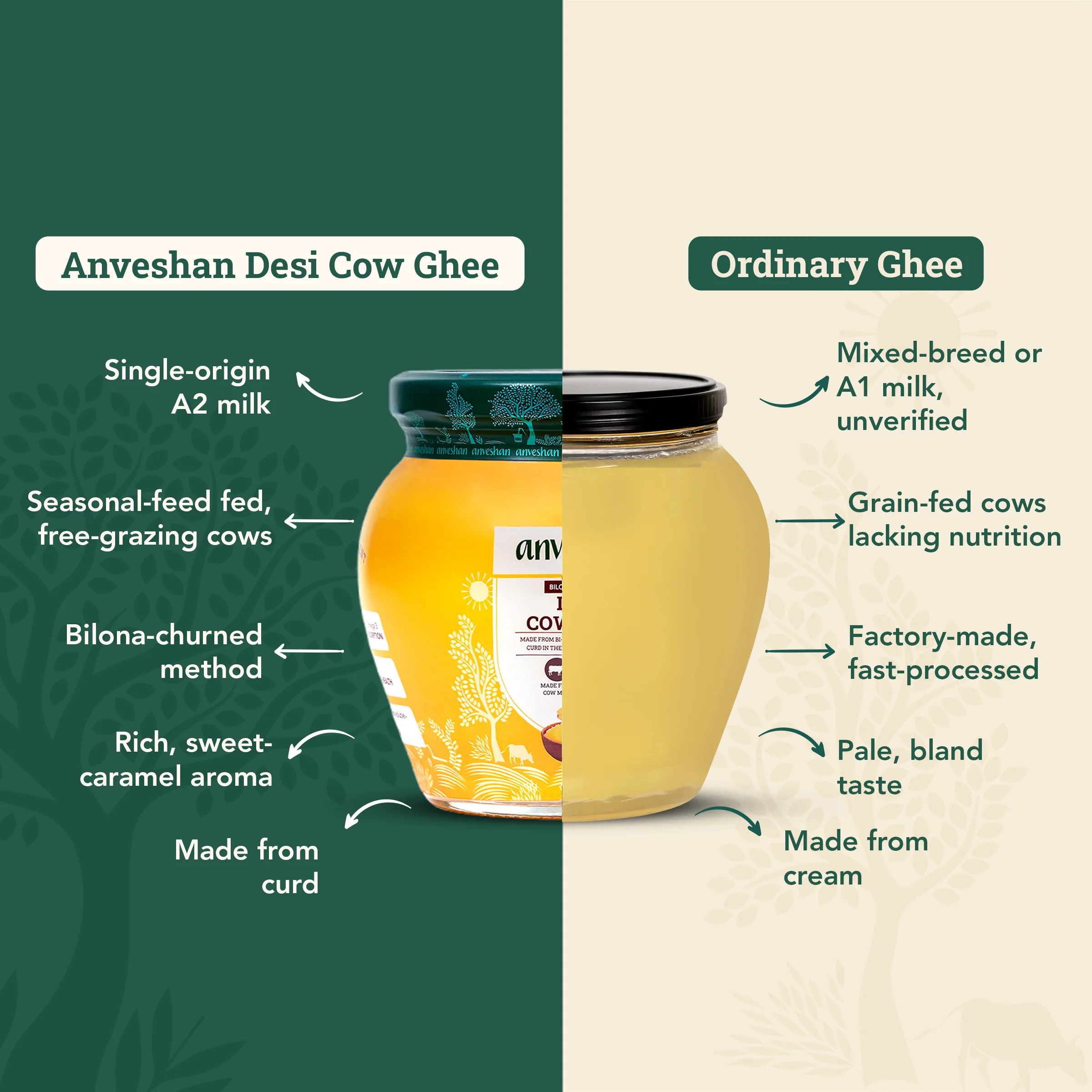 A2 Desi Cow Ghee - Image 4