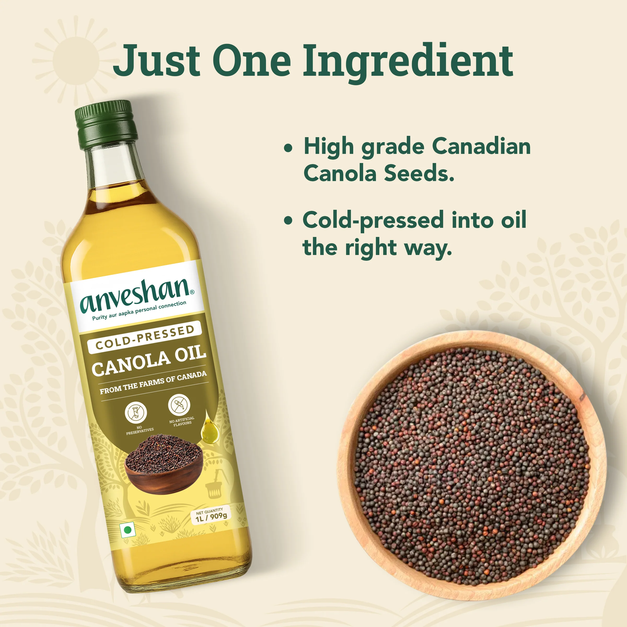 Cold-Pressed Canola Oil - Image 7