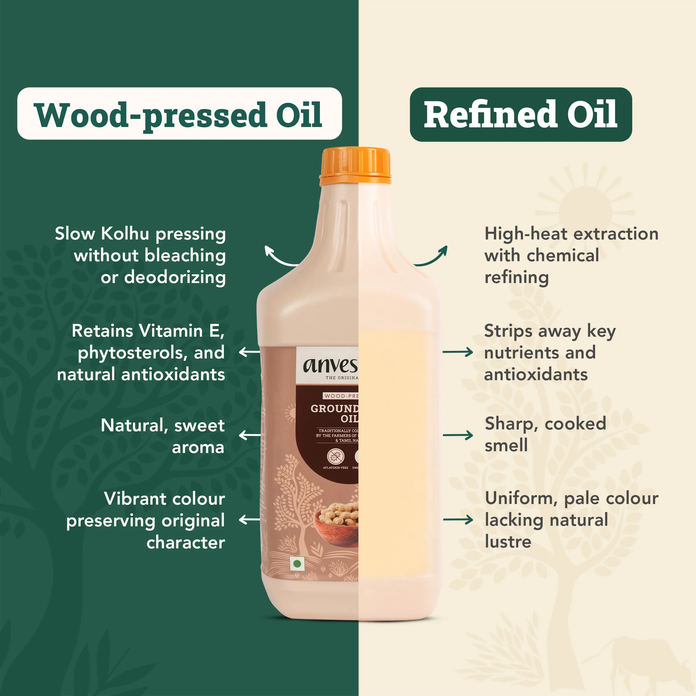 Everyday Oils for Every Dish - Image 6