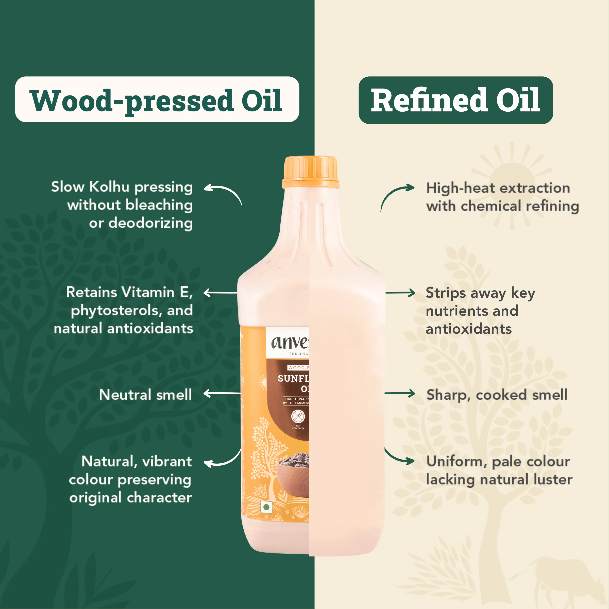 Everyday Oils for Every Dish - Image 7