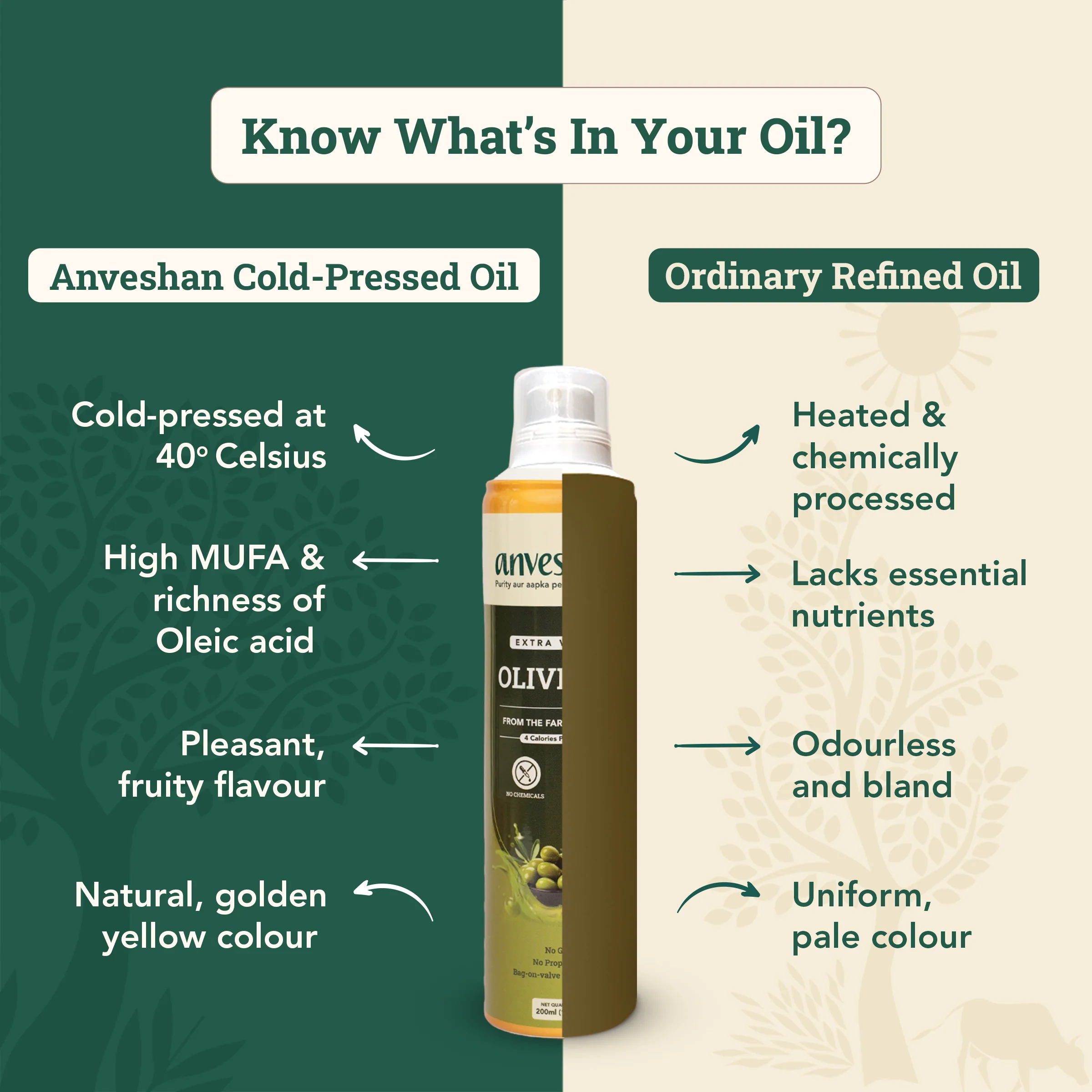 Extra Virgin Olive Oil - Spray Can - Image 4