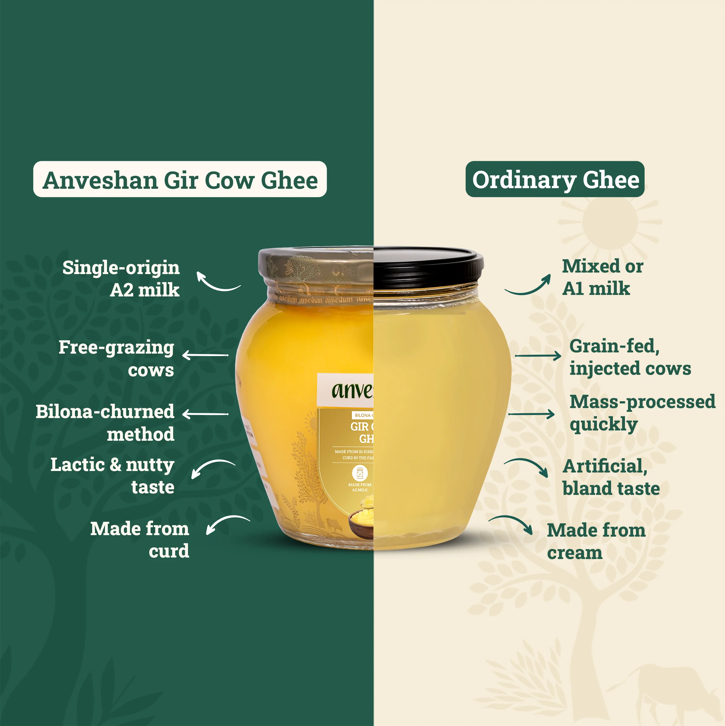 A2 Gir Cow Ghee - Image 4