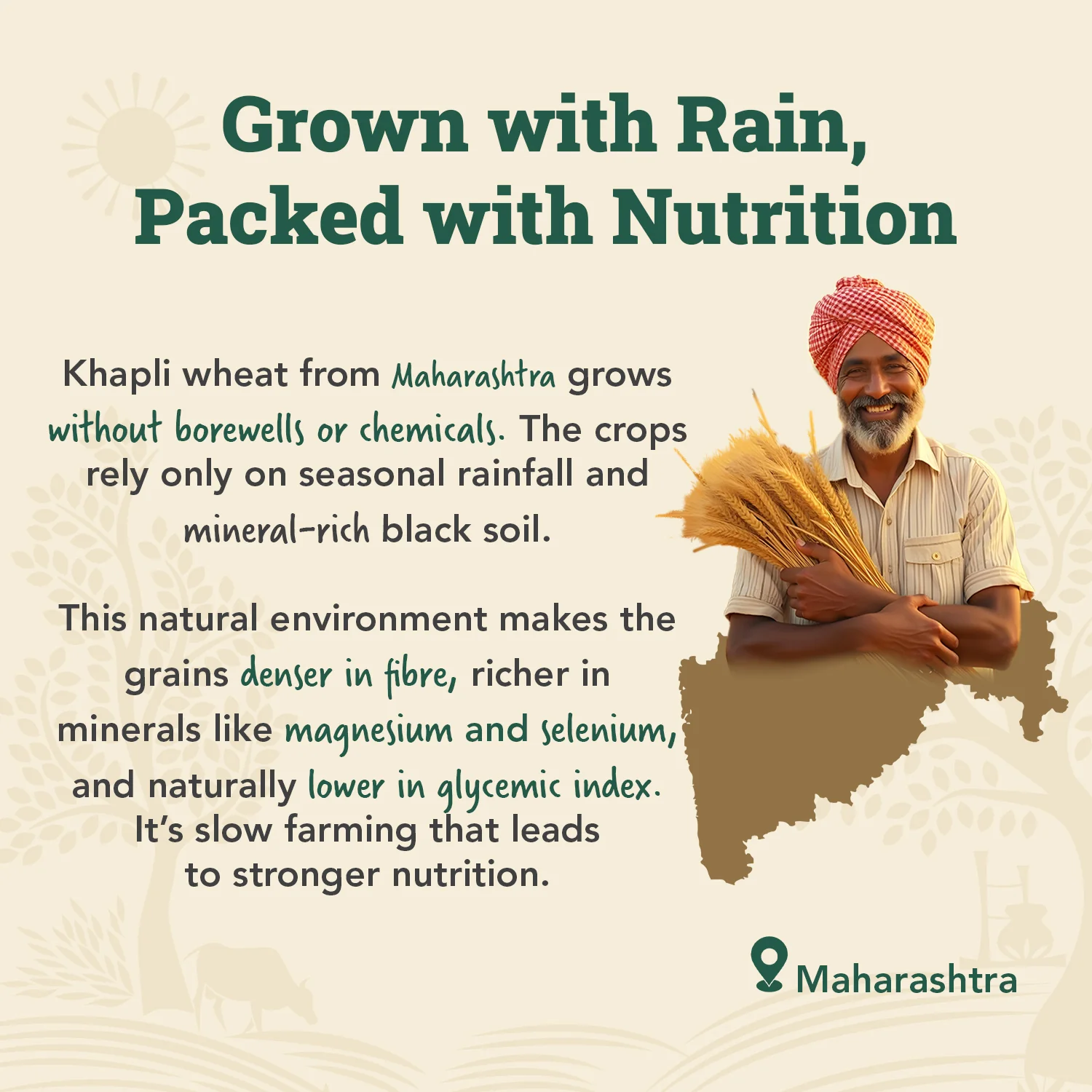 Khapli Aata 5 Kg Combo Pack of 2 - Image 9