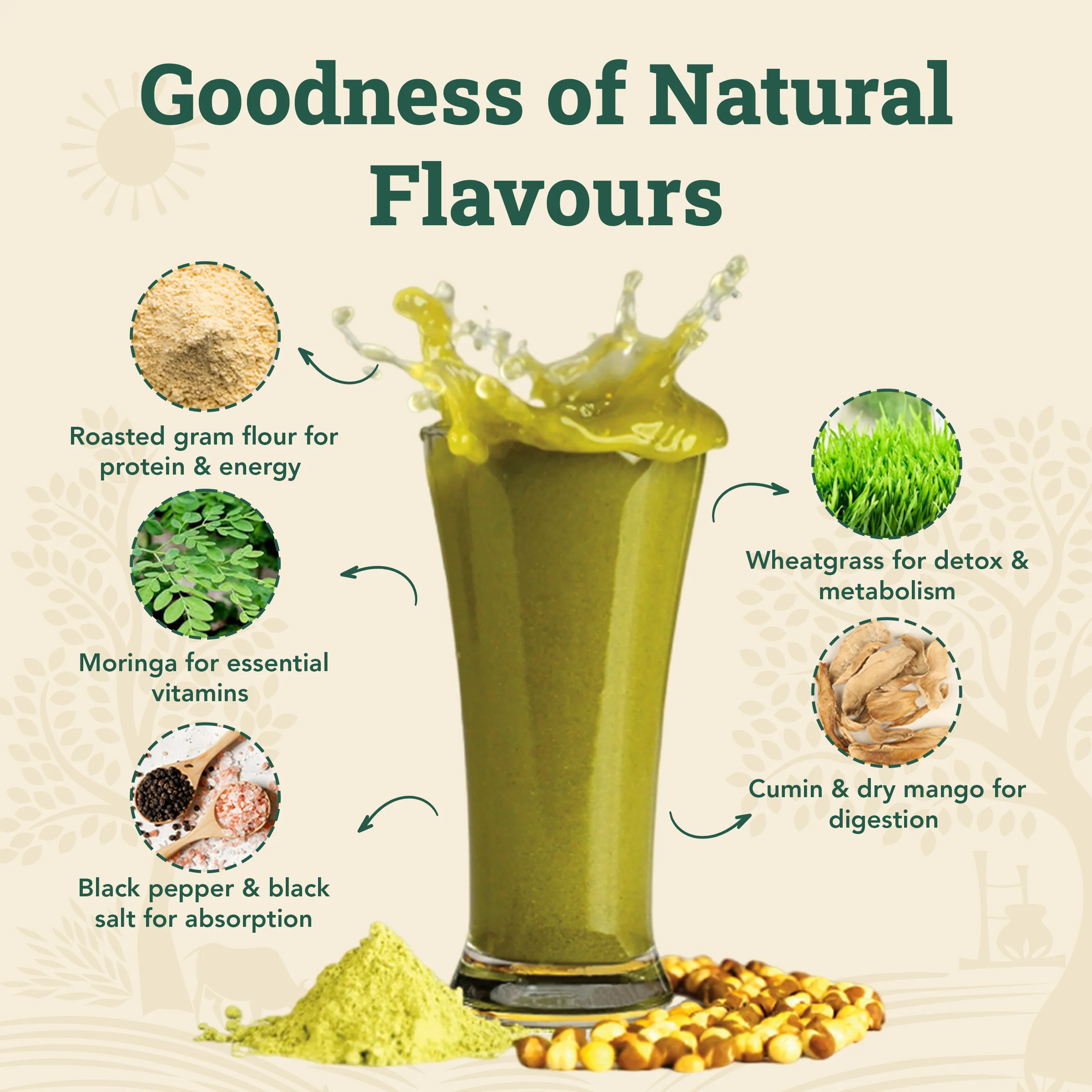 Moringa Sattu Drink Mix (10 Sachets) | Jaljeera Flavour - Image 4