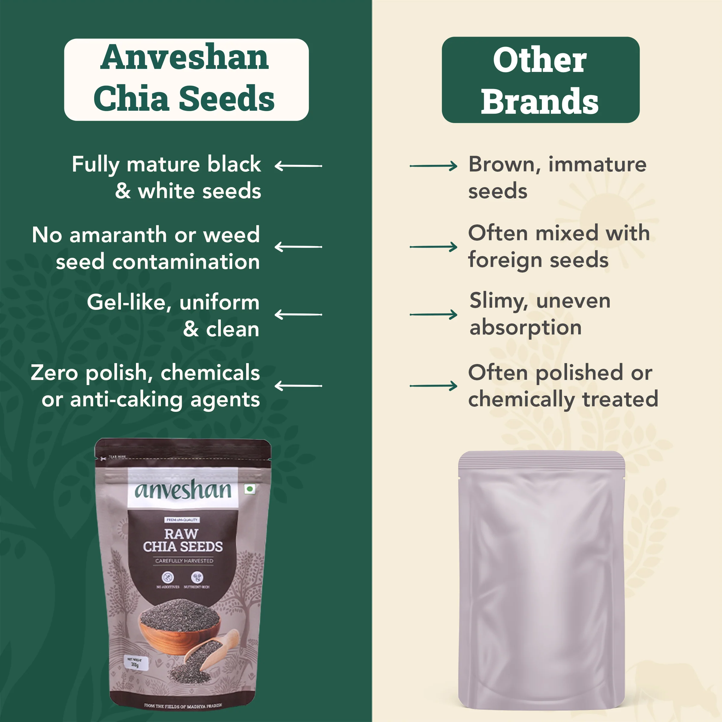 Raw Chia Seeds - Image 4