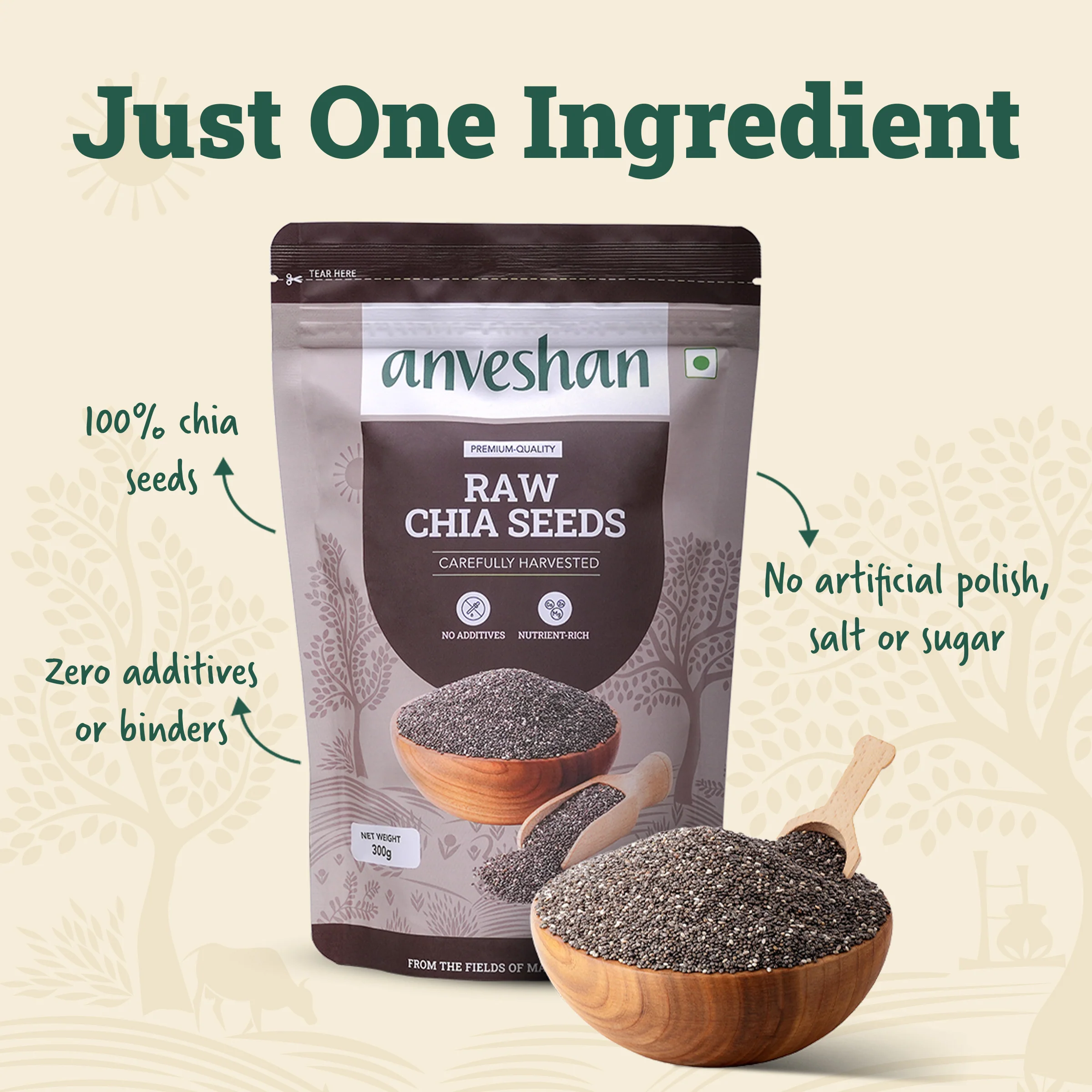Raw Chia Seeds - Image 7