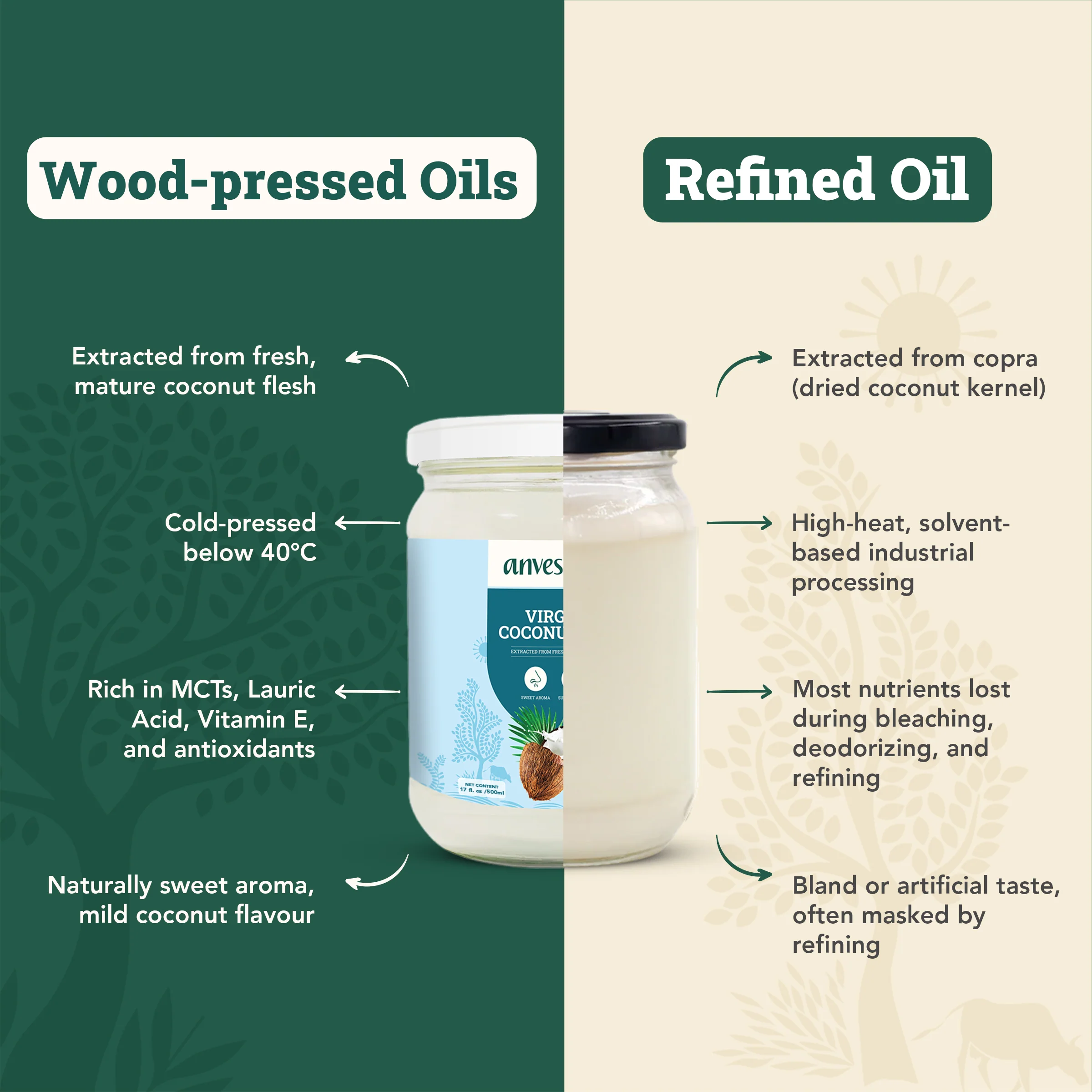 Cold-pressed Virgin Coconut Oil - Image 4
