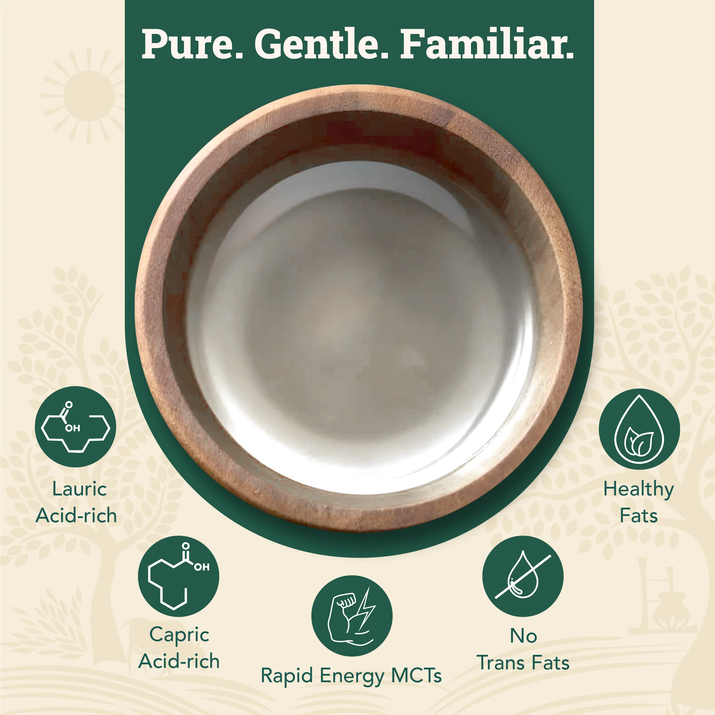 Cold-pressed Virgin Coconut Oil - Image 5