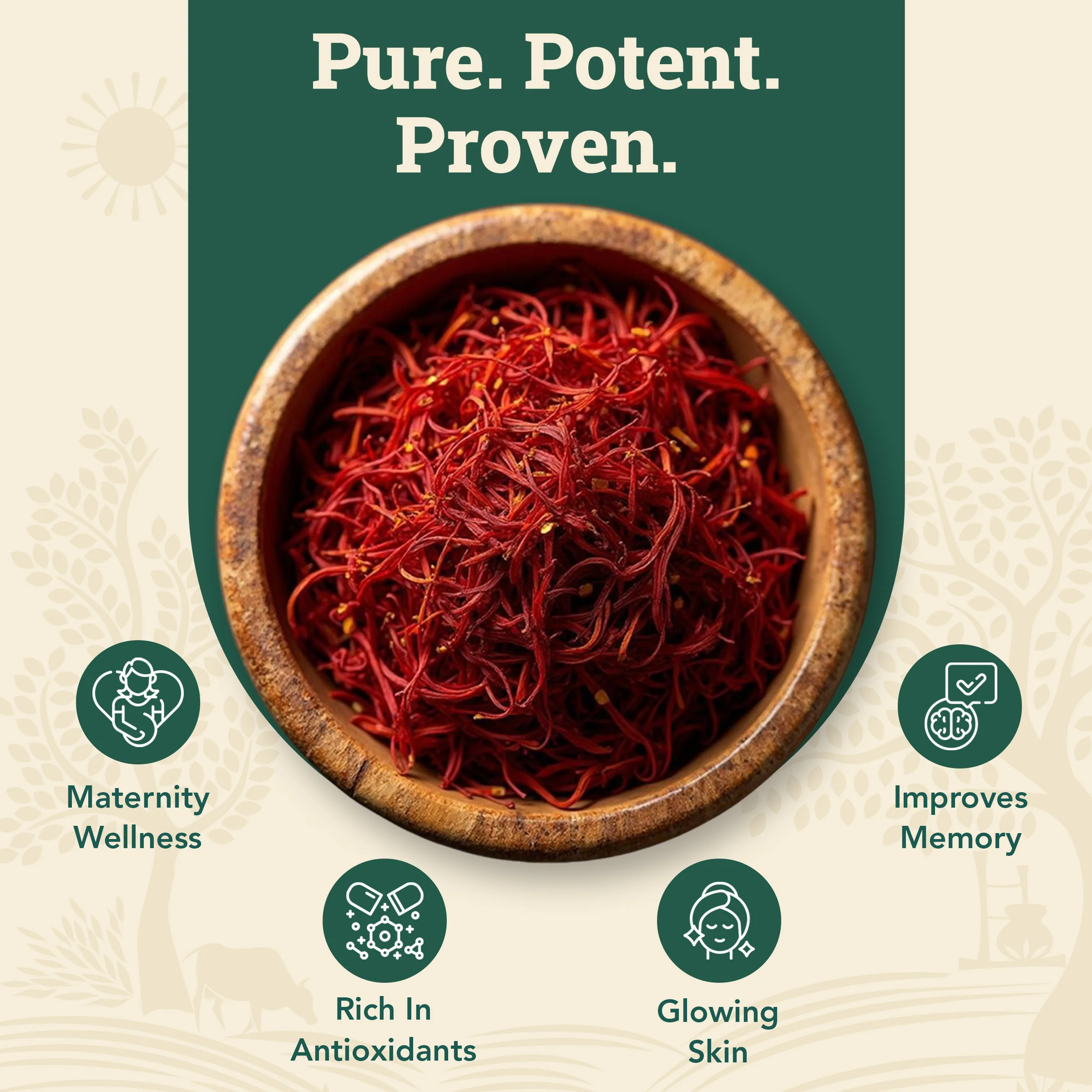 Kashmiri Mongra Saffron - Image 5