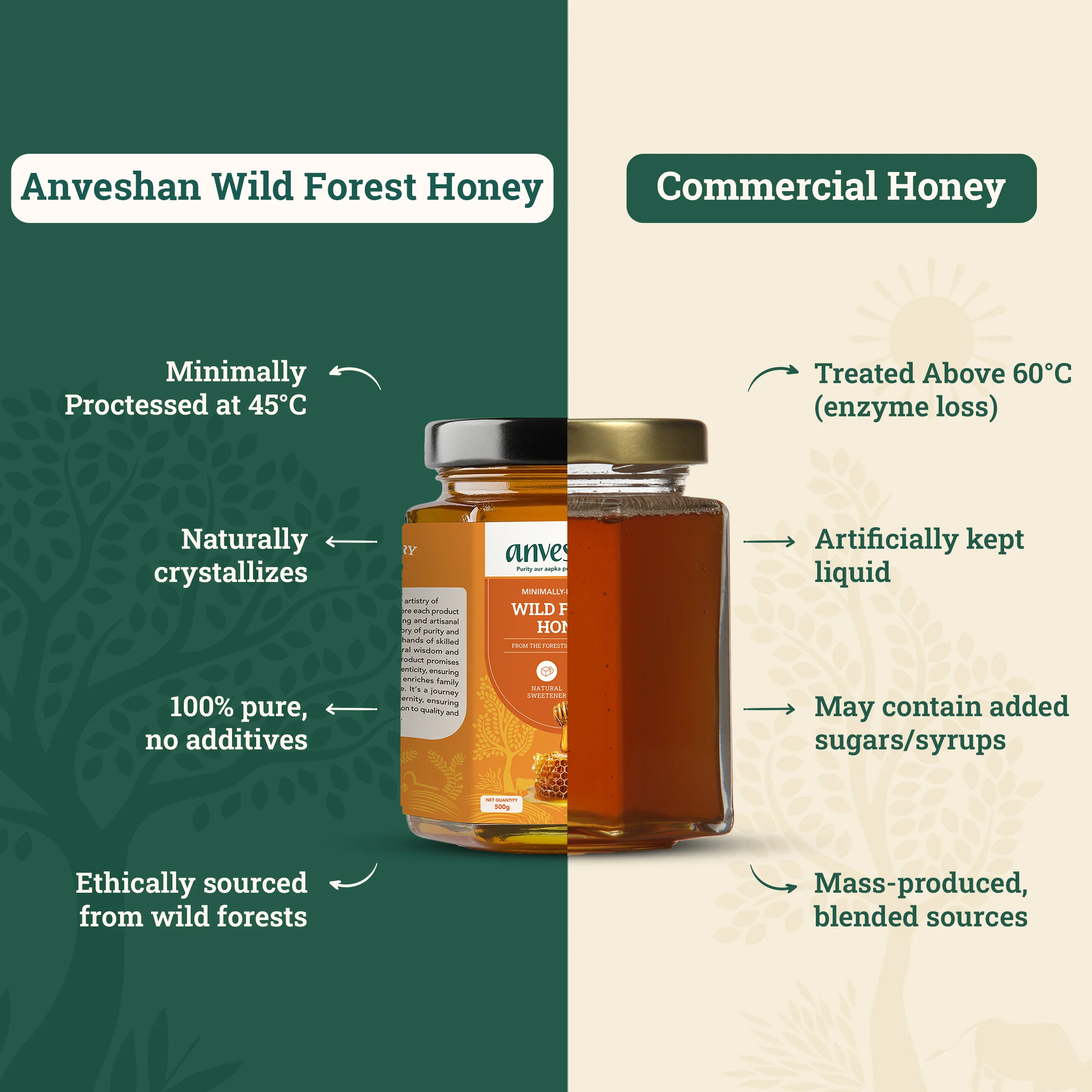 Wild Forest Honey - Image 4