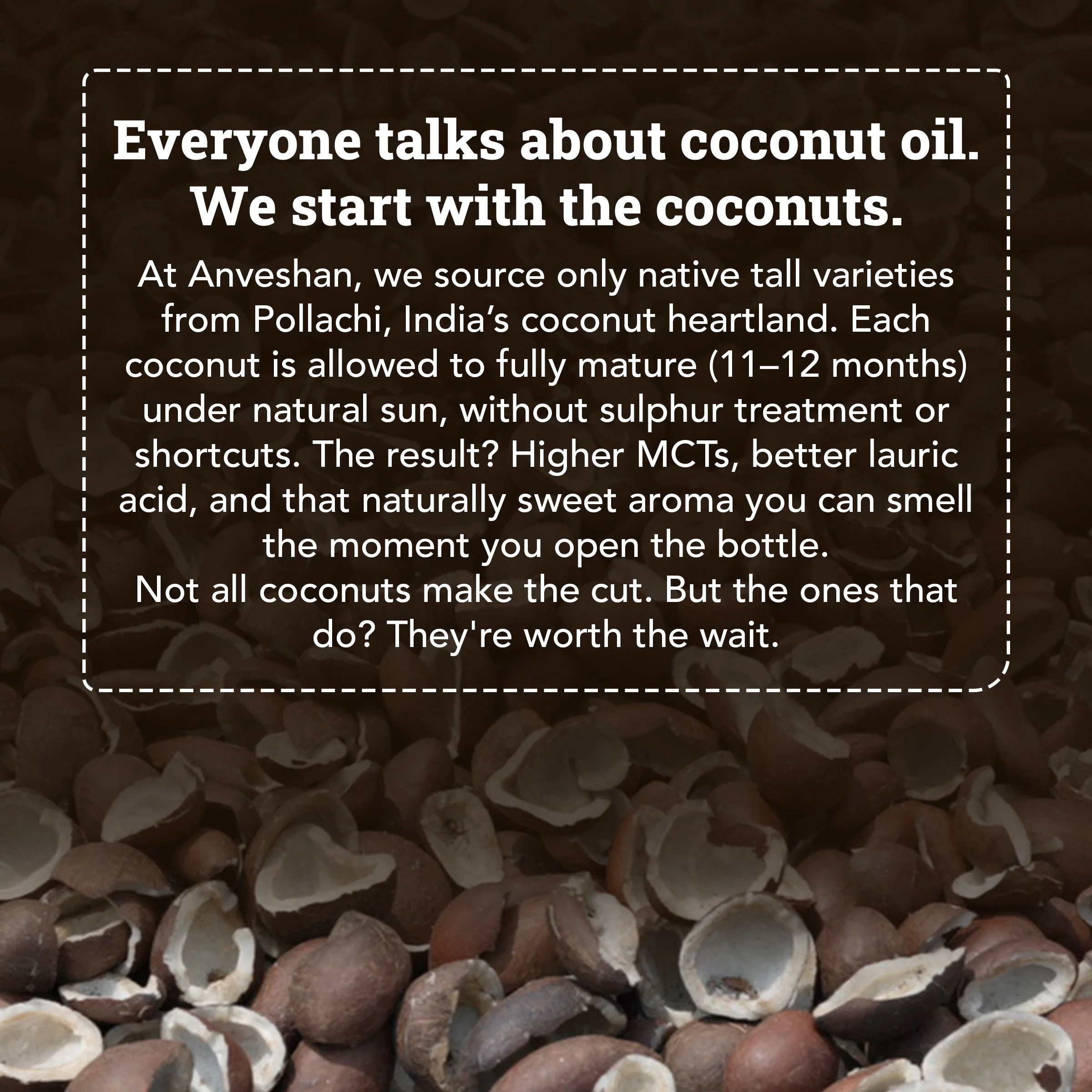 Wood-Pressed Coconut Oil - Image 9